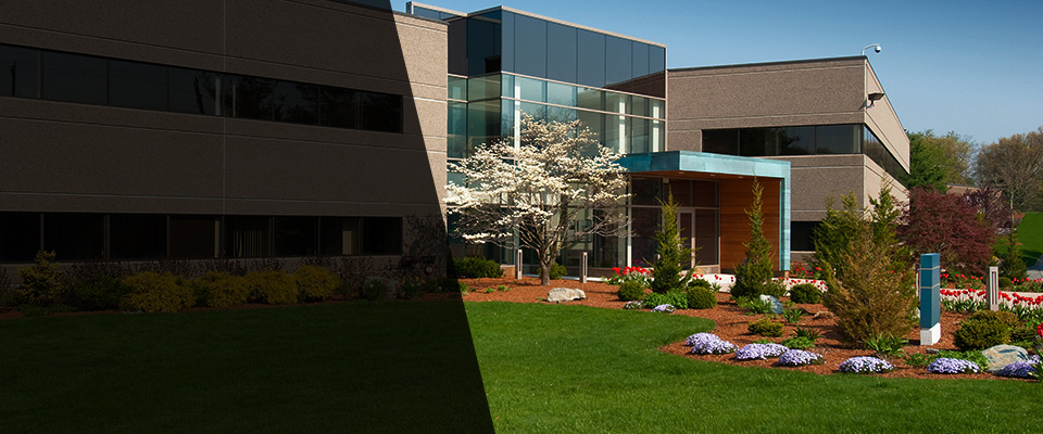 Edcouch Landscapers