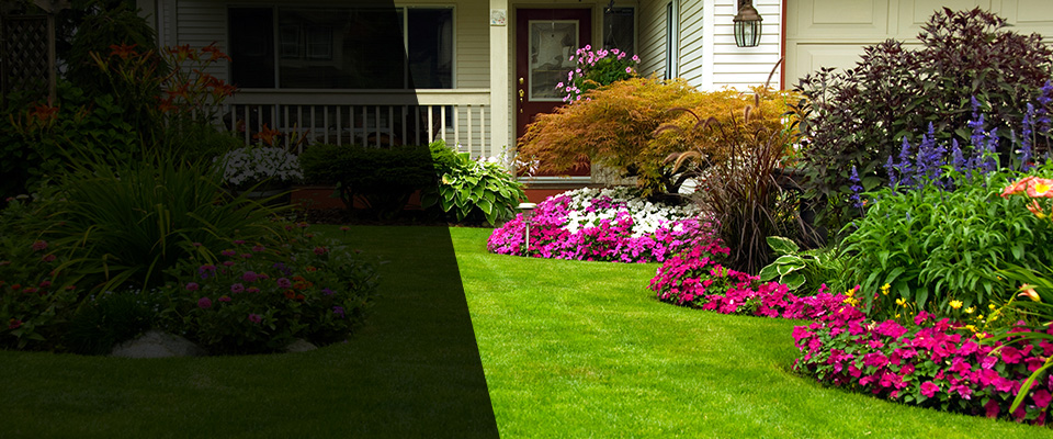 Edcouch Landscapers