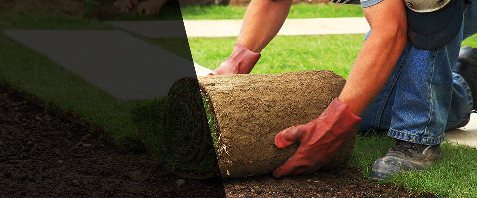 Edcouch Landscapers